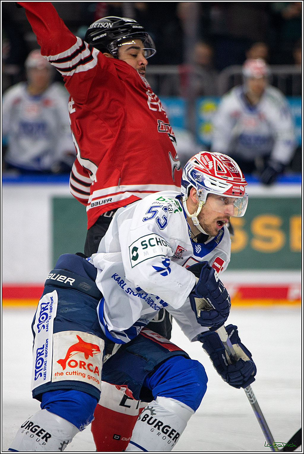 PENNY DEL; Koelner Haie- Schwenninger Wild Wings; Koeln, 18.01.2023